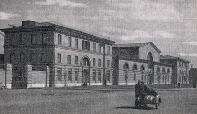 ������ ���� ������